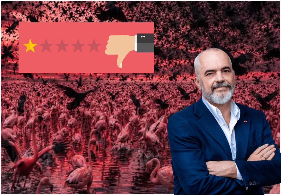 &ldquo;Kemi k&euml;rkuar ndihm&euml;n e Google&rdquo;, Reviewt negative ndaj