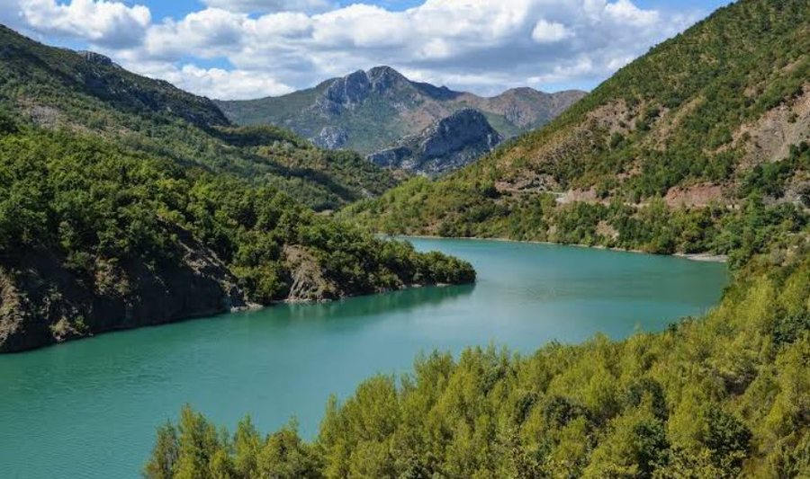 E r&euml;nd&euml; n&euml; Klos, 37-vje&ccedil;ari bie n&euml; lumin Mat