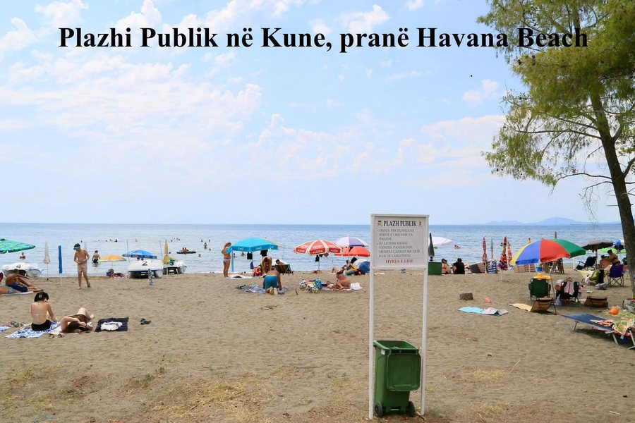 20 zona plazhi pa asnj&euml; lek n&euml; Lezh&euml;, Pjerin Ndreu del me