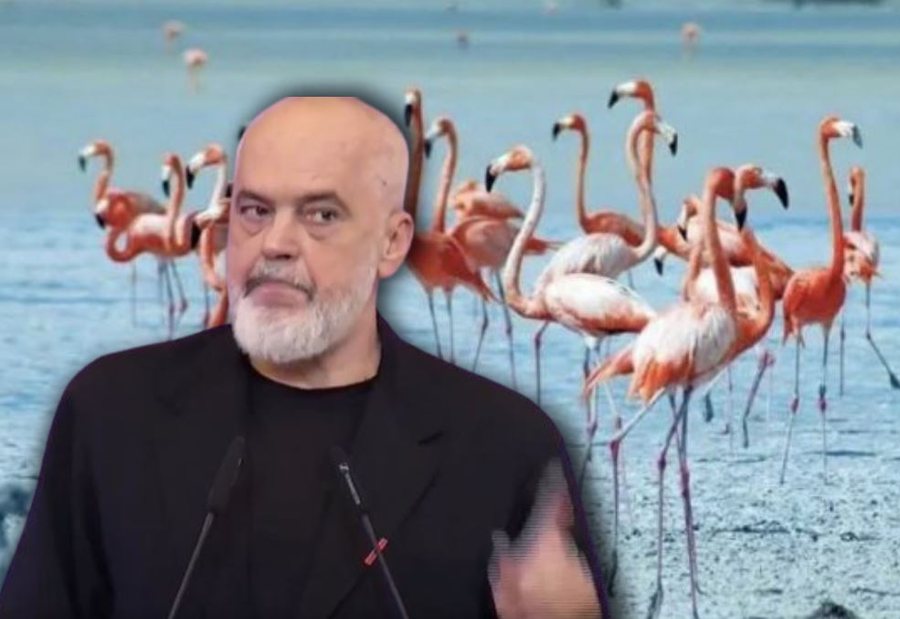 Ndryshimet e vitit 2024 do t&euml; skanohen! Rama flet tro&ccedil;: Askush