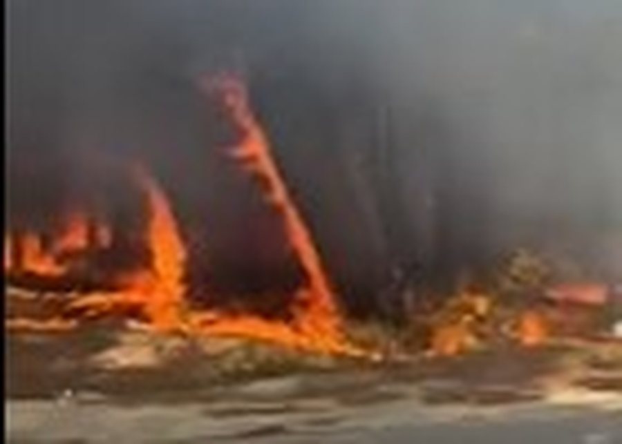Vlora n&euml; KAOS, flak&euml;t masive &ldquo;p&euml;rfshijn&euml;&rdquo; Pyllin