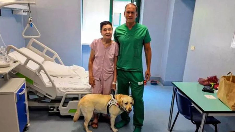 Mjek&euml;t italian&euml; kryejn&euml; transplantin n&euml; sy, i rikthejn&euml;