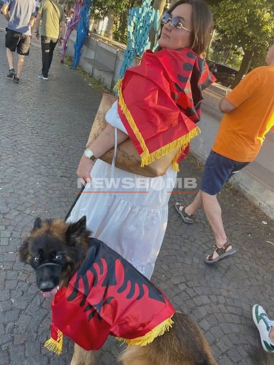 Protestuesja i hedh n&euml; qaf&euml; qenit flamurin komb&euml;tar shqiptar,