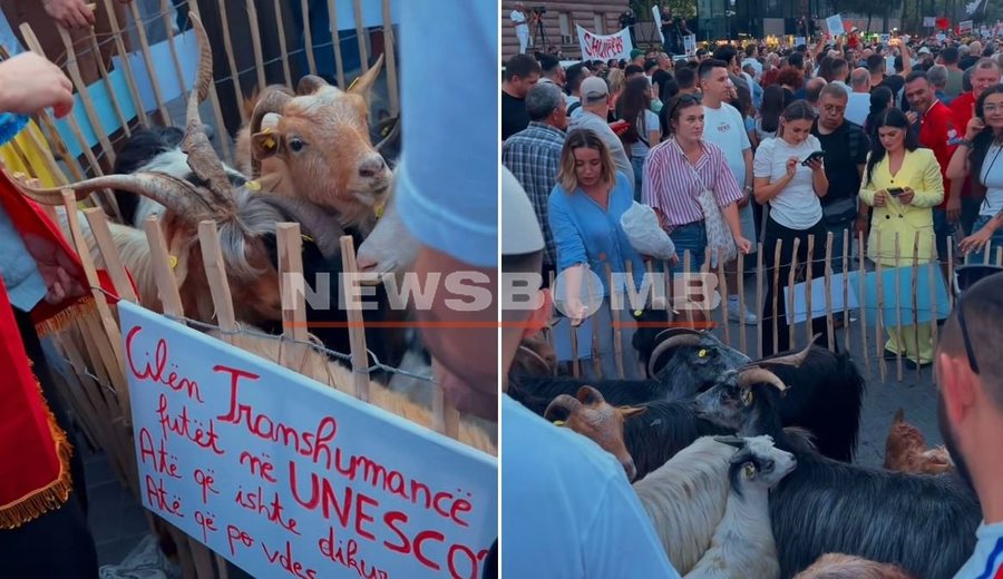 Tufa e dhive i bashkohet protest&euml;s s&euml; qytetar&euml;ve n&euml;