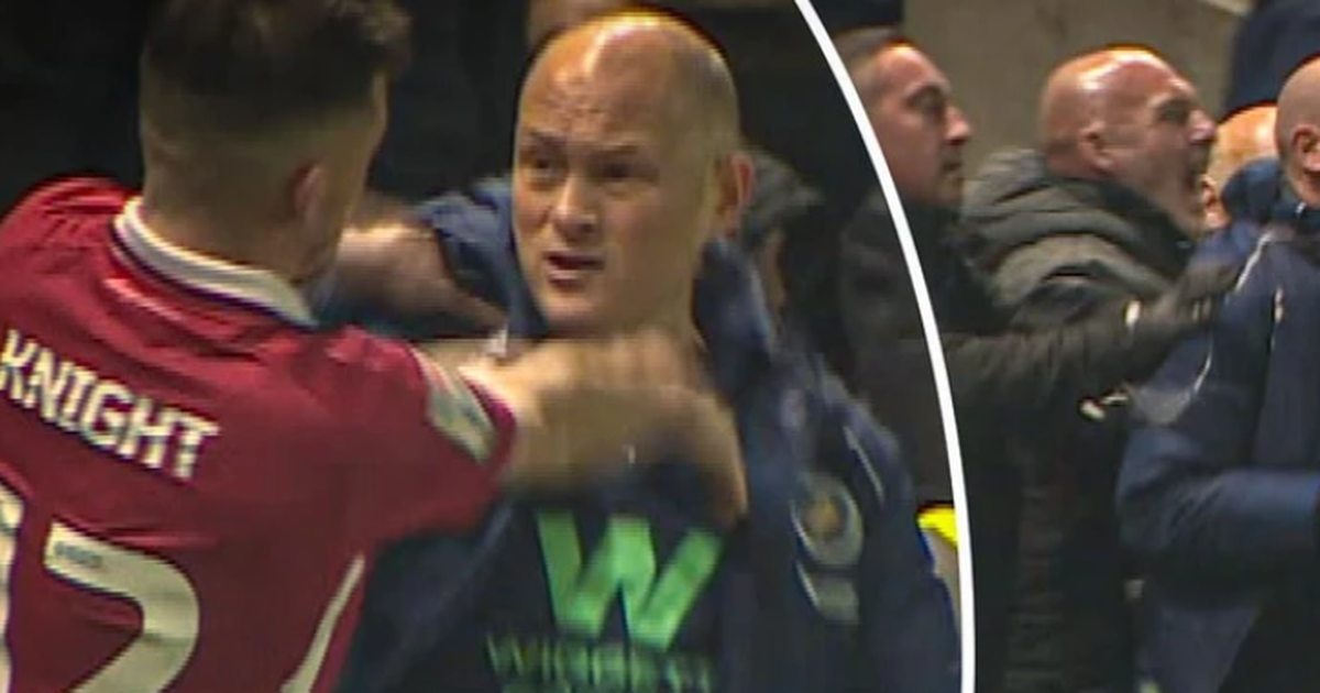 VIDEO  Plas grushti në Championship  përplasen edhe trajnerët e skuadrave