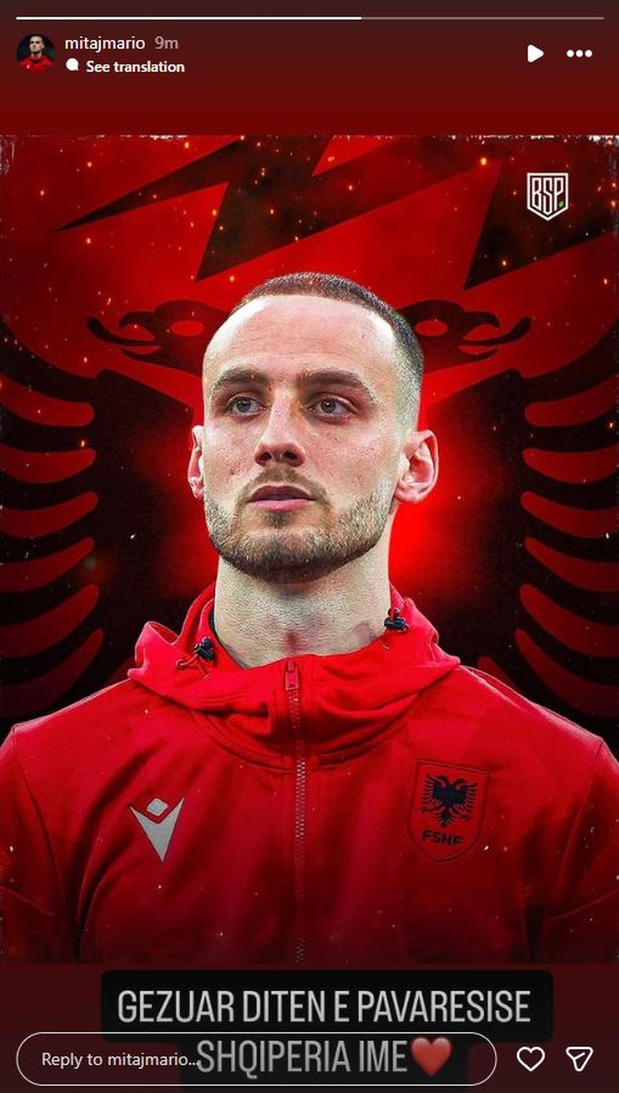 Nga i “harruari” i Sylvinhos te heroi i Leskovacit,