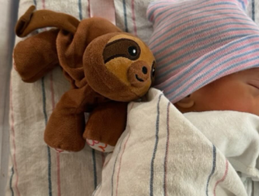 Artisti bot&euml;ror dhe ish-tenistja ndajn&euml; lajmin e &euml;mb&euml;l,