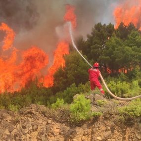Shënohen 50 vatra zjarri në vend - Si është gjendja aktuale