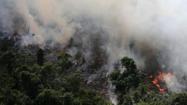 Flakët përfshijnë Amazonën: Rekord zjarresh, vendi në