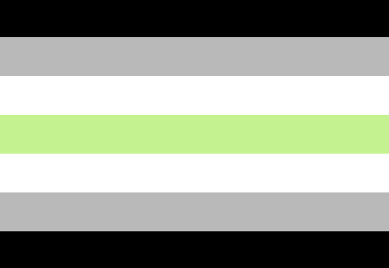 Çfarë simbolizojnë 13 flamujt e LGBTQ+