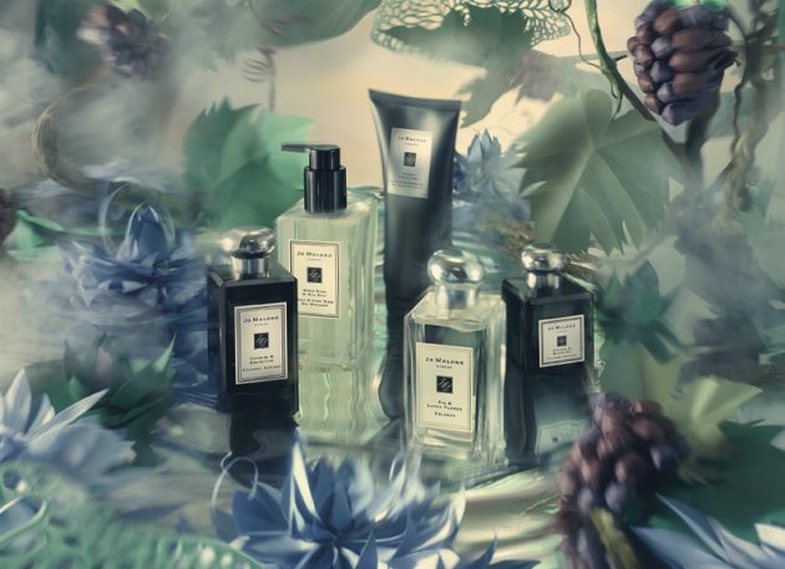 8 parfume që kundërmojnë aromë vjeshte