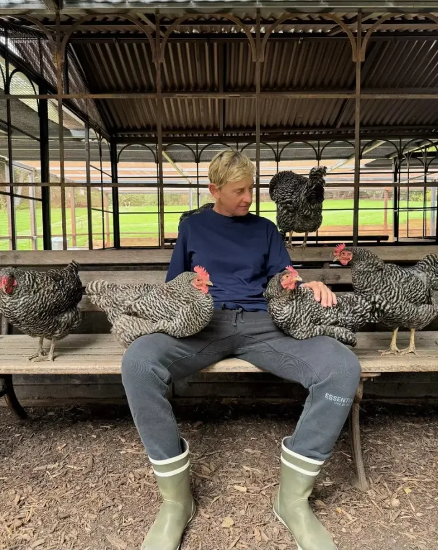 Kur Ellen DeGeneres tha ‘jetoj në fermë’ gati-gati na u