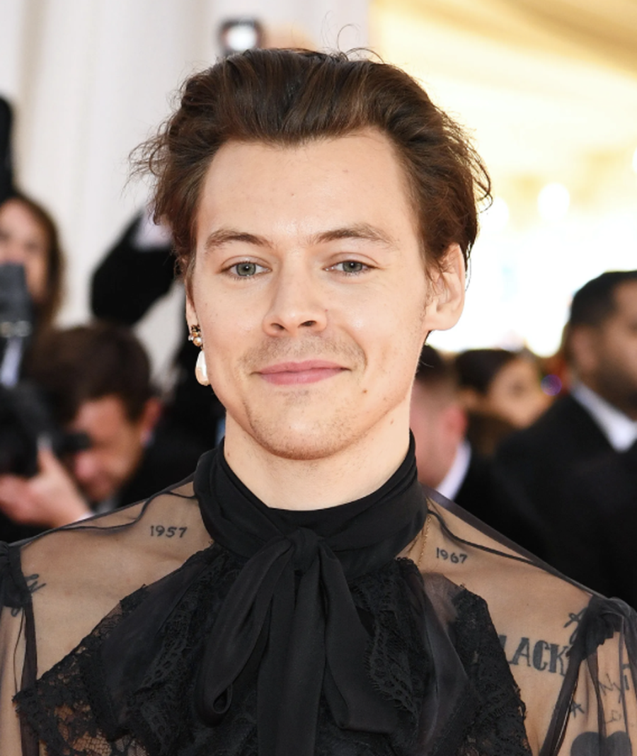 Khëm-khëm! Harry Styles mund të ketë një të dashur