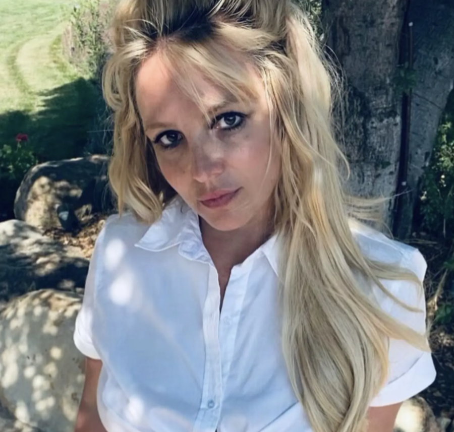 Postimi kaotik: Britney Spears ka birësuar një fëmijë? o.O