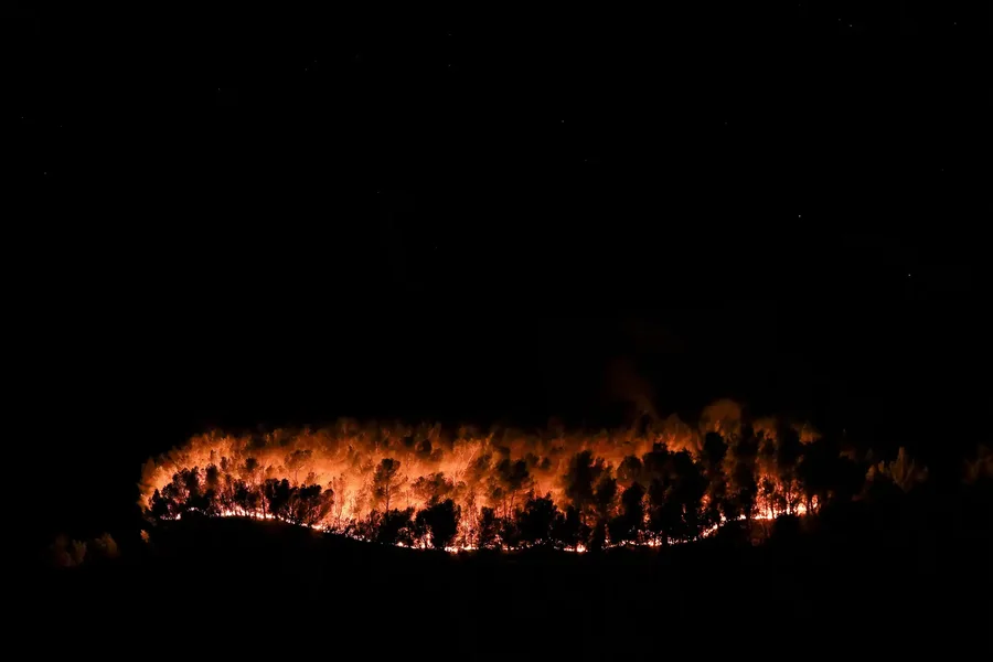Përmes fotove: Bota në një javë