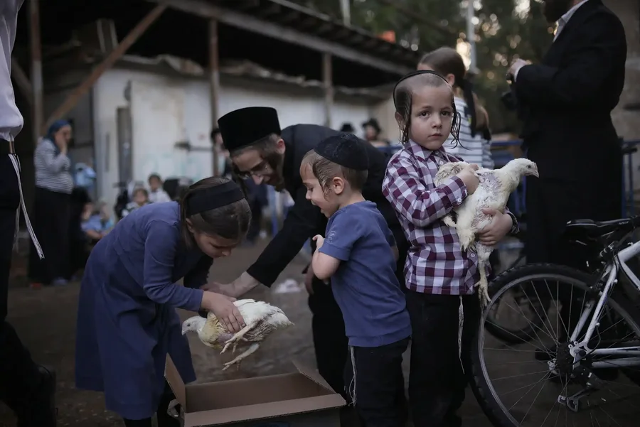 Përmes fotove: Bota në një javë