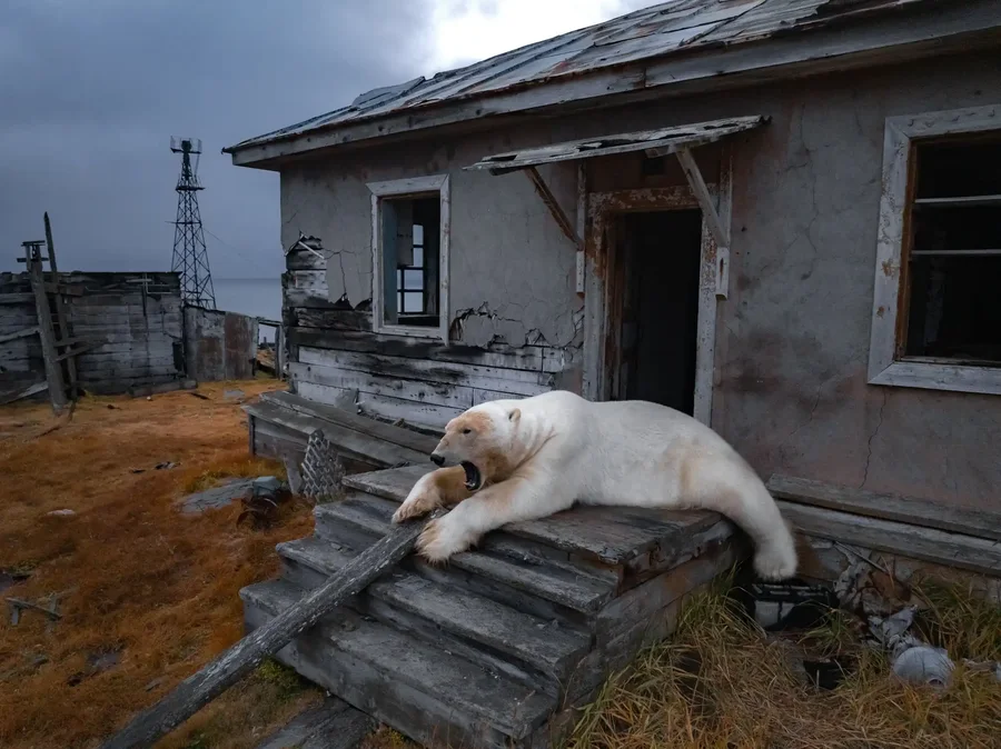 Përmes fotove: Bota në një javë