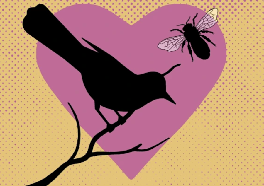 Do ta dish nëse marrëdhënia ka shanse të zgjasë? Provo