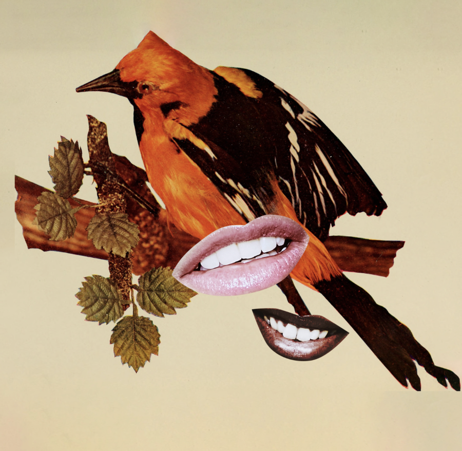 Do ta dish nëse marrëdhënia ka shanse të zgjasë? Provo