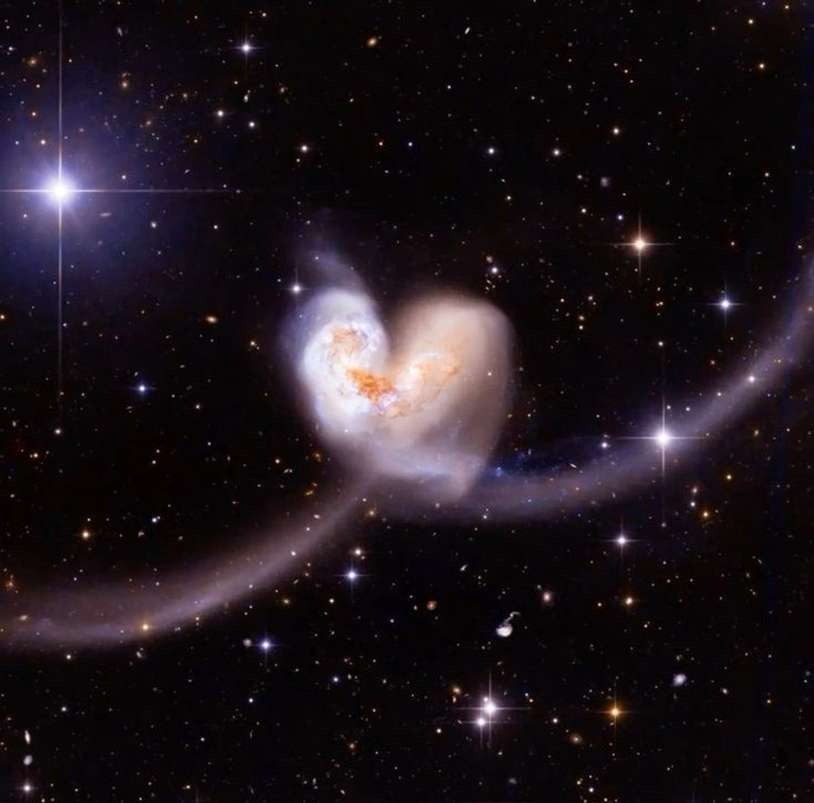 Horoskopi i dashurisë për muajin nëntor ?