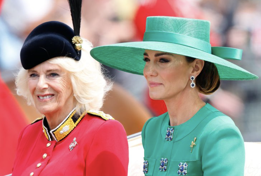 Me shumë gjasa, Kate nuk do e pëlqejë fare (po fare)