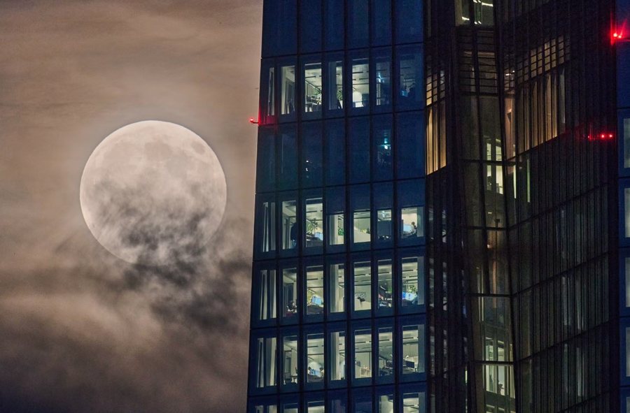 Përmes fotove: Bota në një javë