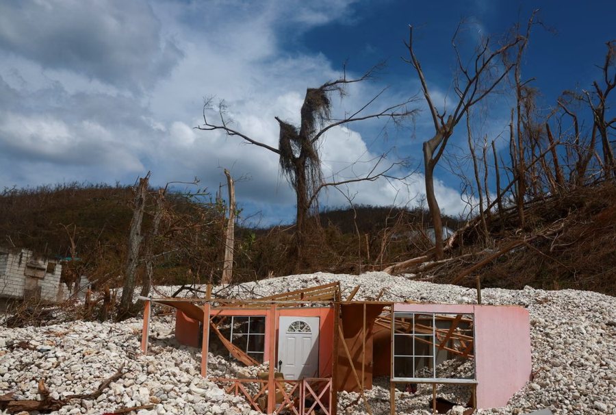 Përmes fotove: Bota në një javë