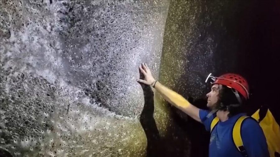 Fantastike & e frikshme: Rrjeta më e madhe e merimangave në