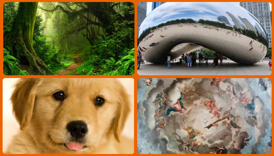 Ky test i thjeshtë me imazhe zbulon se si relaksohet truri yt