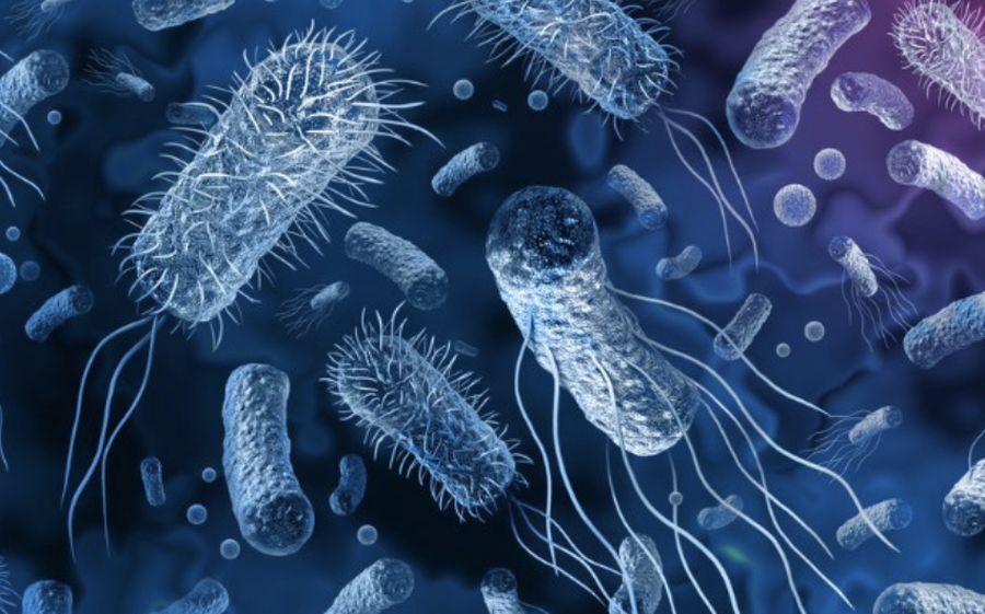 Lajme në pak minuta: Çfarë po ndodh në botë