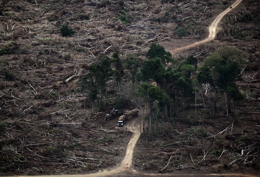 Përmes fotove: Bota në një javë