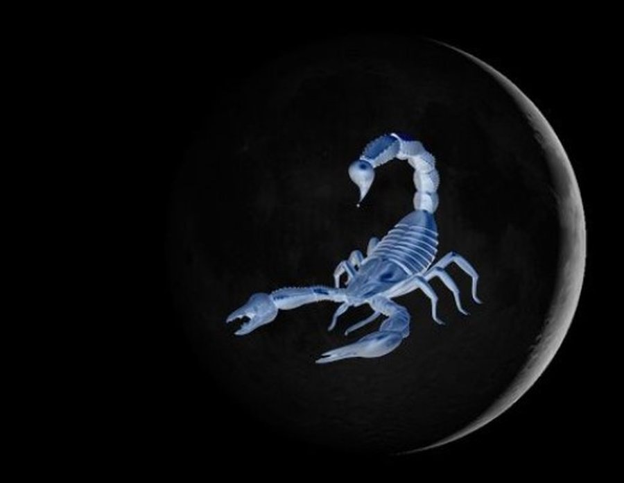 Si Hëna e Re shumë e fuqishme më 20 nëntor ndikon te shenja