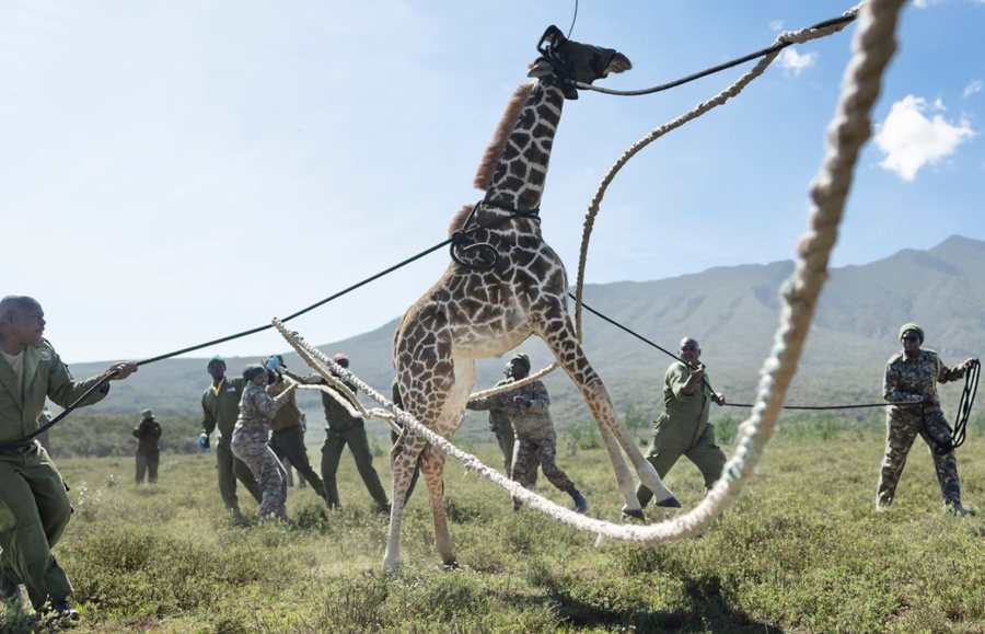 Përmes fotove: Bota në një javë