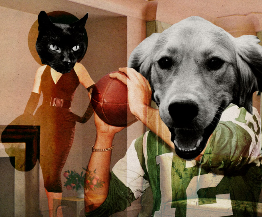 Ç'është e dashura me energji 'maceje të