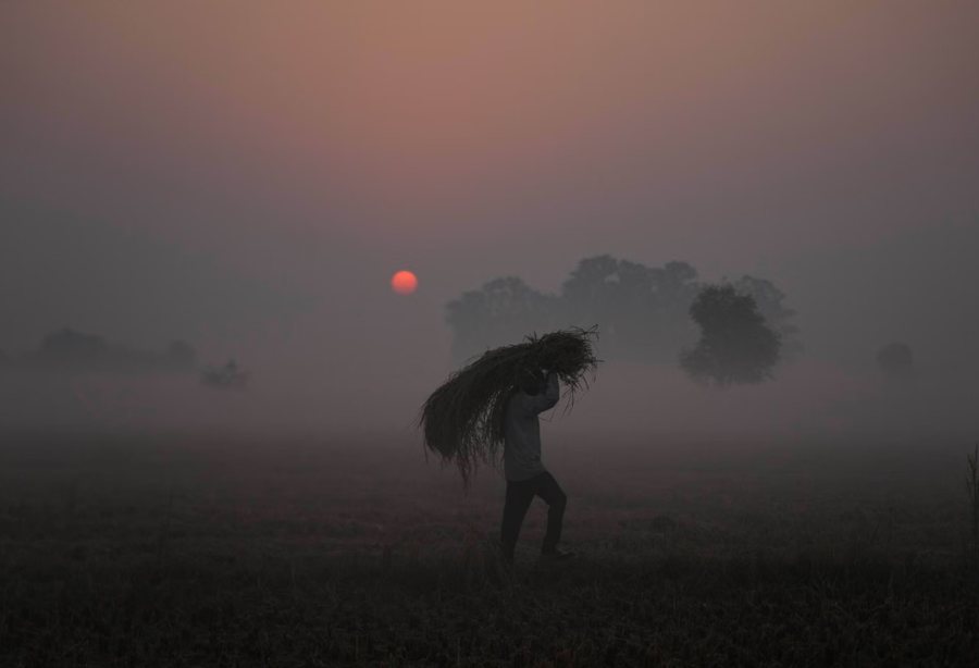 Përmes fotove: Bota në një javë