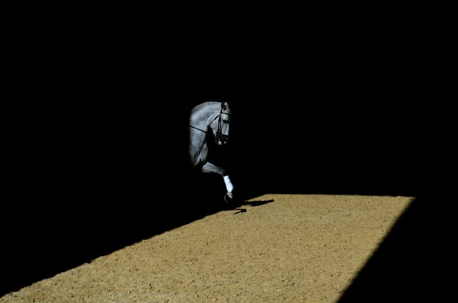 Përmes fotove: Bota në një javë