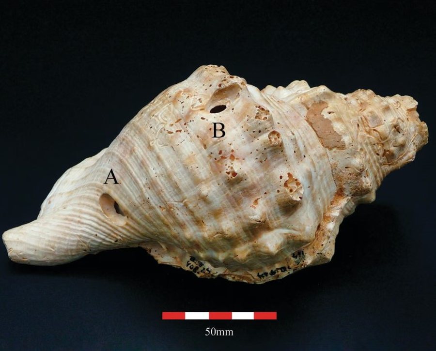 Lajme në pak minuta: Çfarë po ndodh në botë