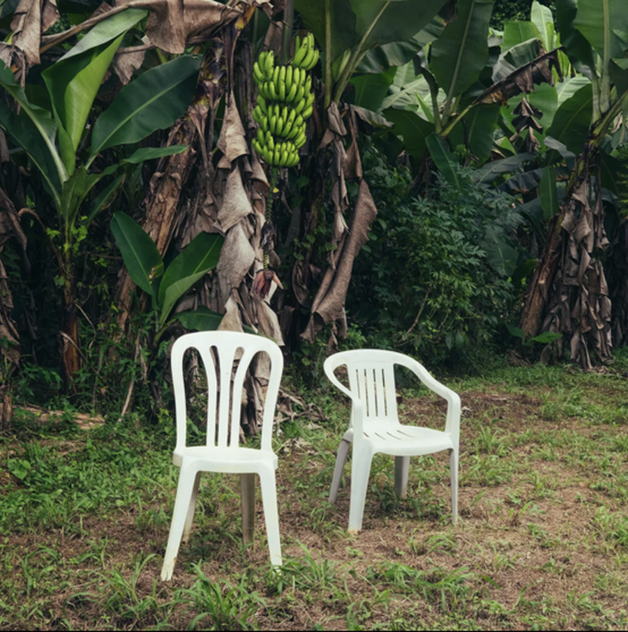 10 albumet më të mira të vitit 2025, sipas Rolling Stone