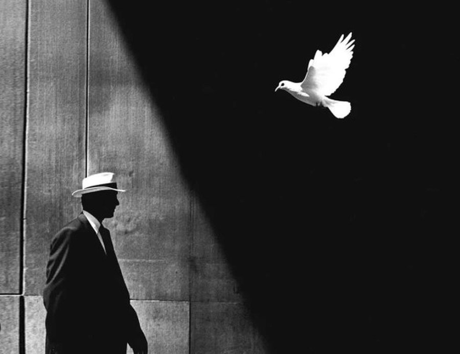 Bilanci i vitit ku u bëra protagoniste e një filmi bardh e zi