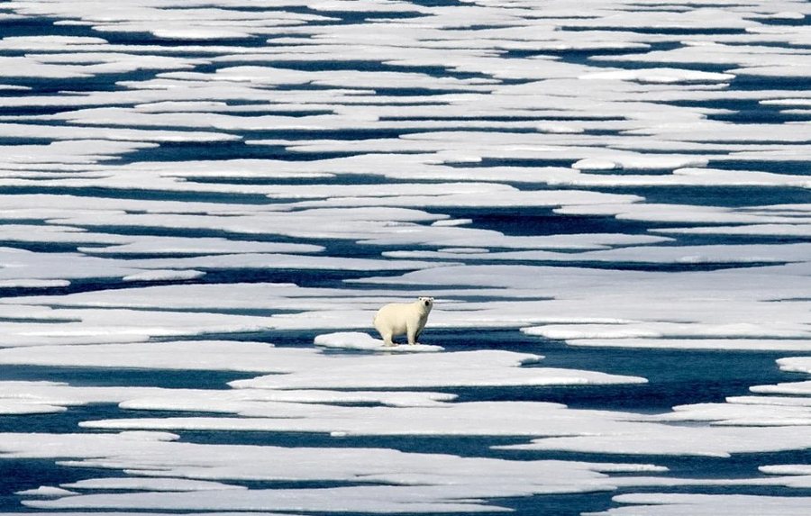 Lajme në pak minuta: Çfarë po ndodh në botë