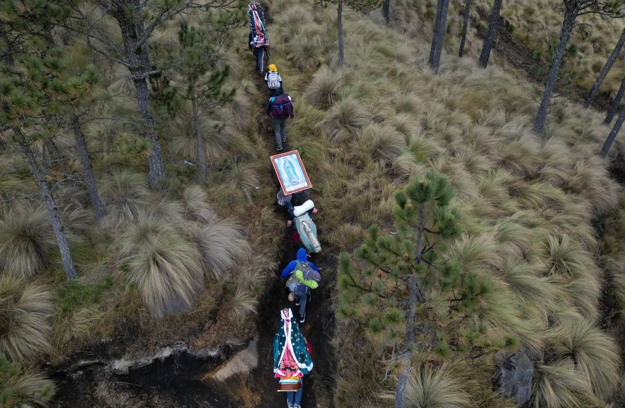 Përmes fotove: Bota në një javë