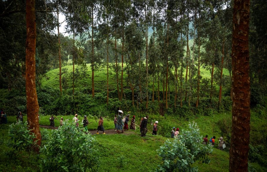 Përmes fotove: Bota në një javë