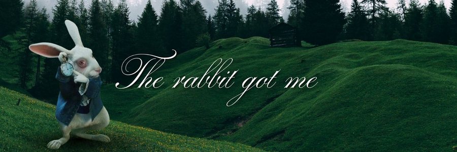 Thyerje zemre apo Lepuri i Bardhë? Ja kuptimi i trendit më të ri