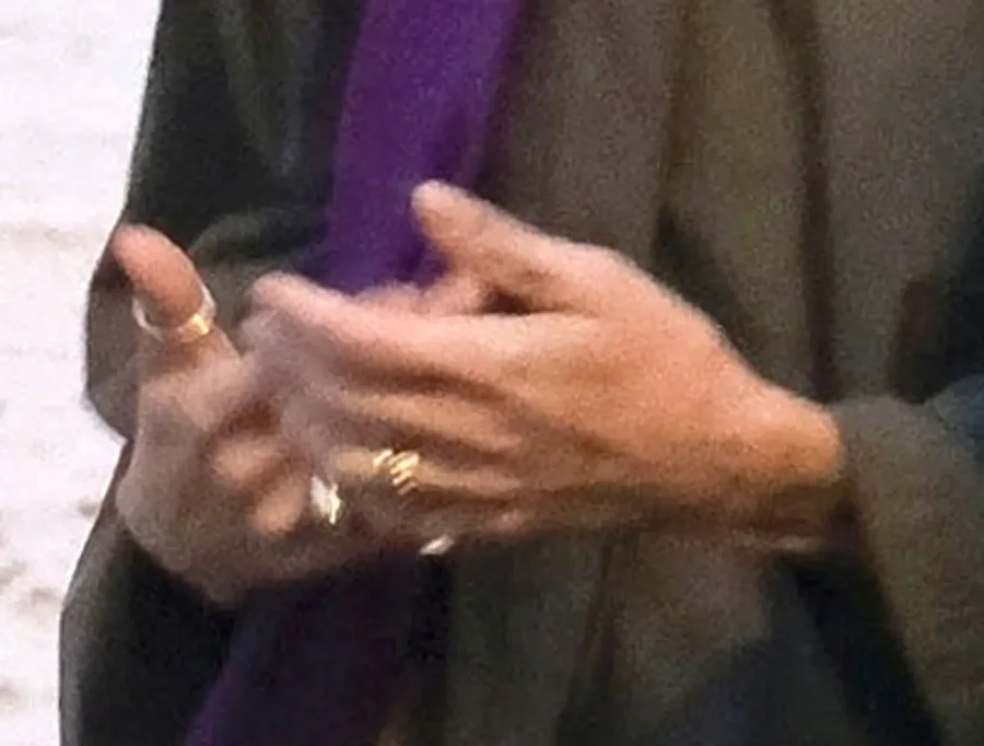 Jan&euml; fejuar?! Zo&euml; Kravitz dhe Harry Styles po l&euml;vizin me hapa