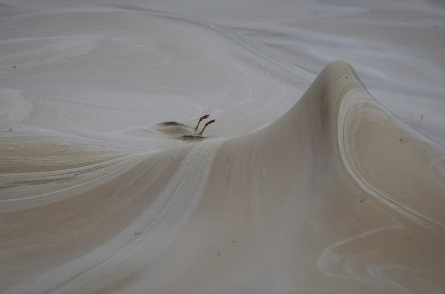 P&euml;rmes fotove: Bota n&euml; nj&euml; jav&euml;