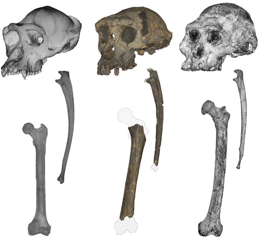 Lajme në pak minuta: Çfarë po ndodh në botë