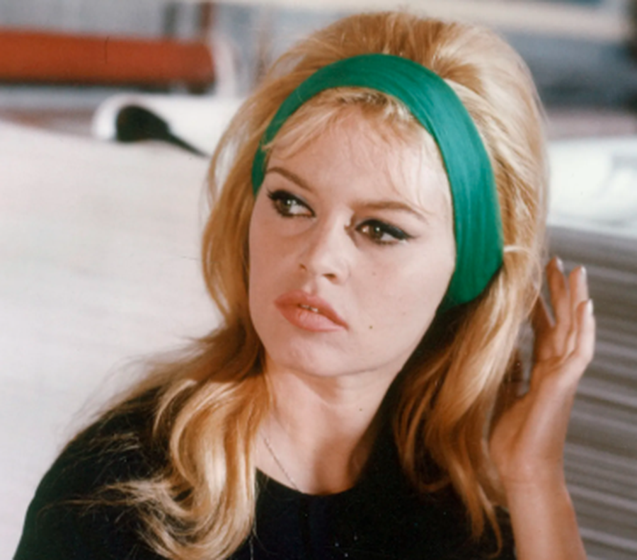 "P&euml;rpjekje t&euml; sh&euml;mtuara", Fondacioni i Brigitte Bardot