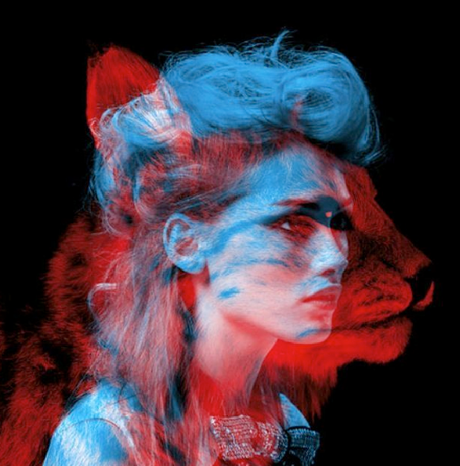 Test: Zbulo kafsh&euml;n q&euml; pasqyron personalitetin t&euml;nd