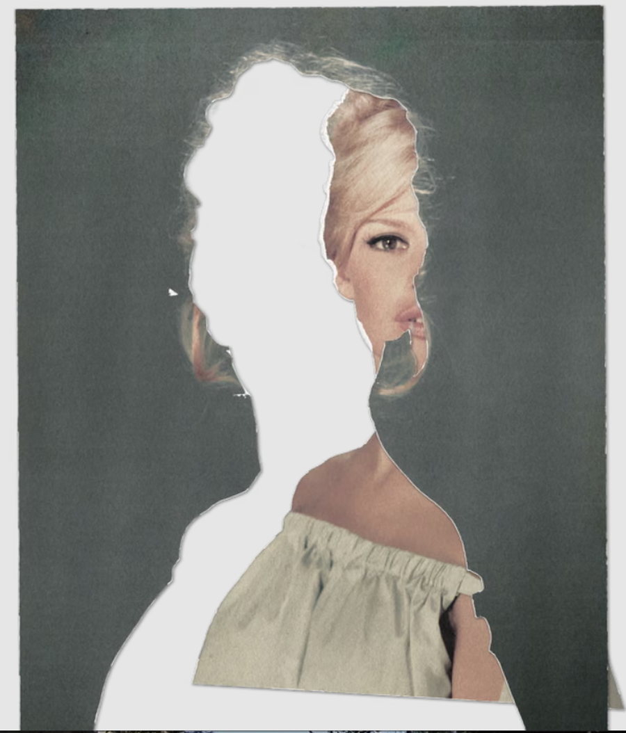 Simbol, aktiviste p&euml;r kafsh&euml;t, raciste: paradoksi i Brigitte Bardot