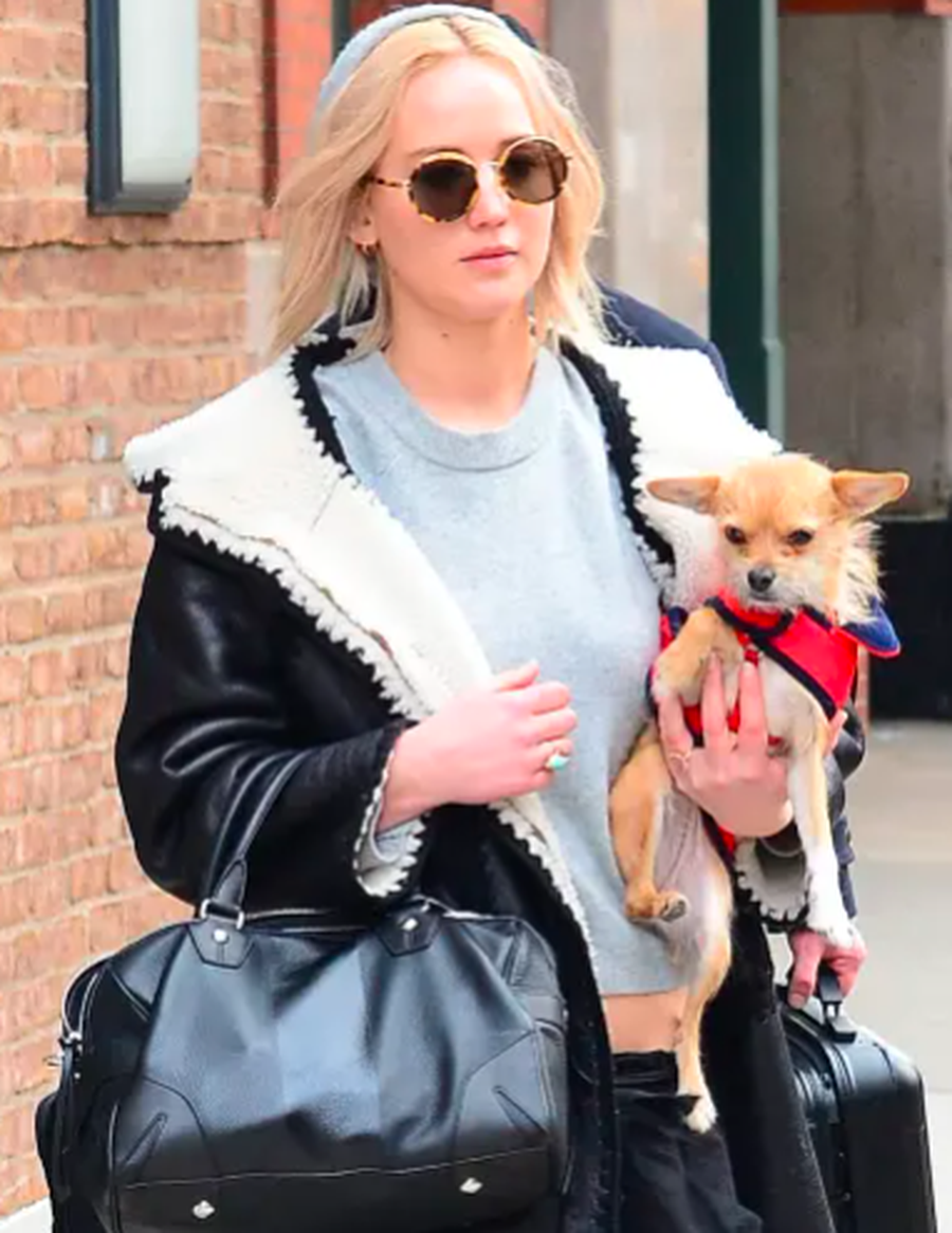 Jennifer Lawrence n&euml; qend&euml;r t&euml; kritikave, por pse?